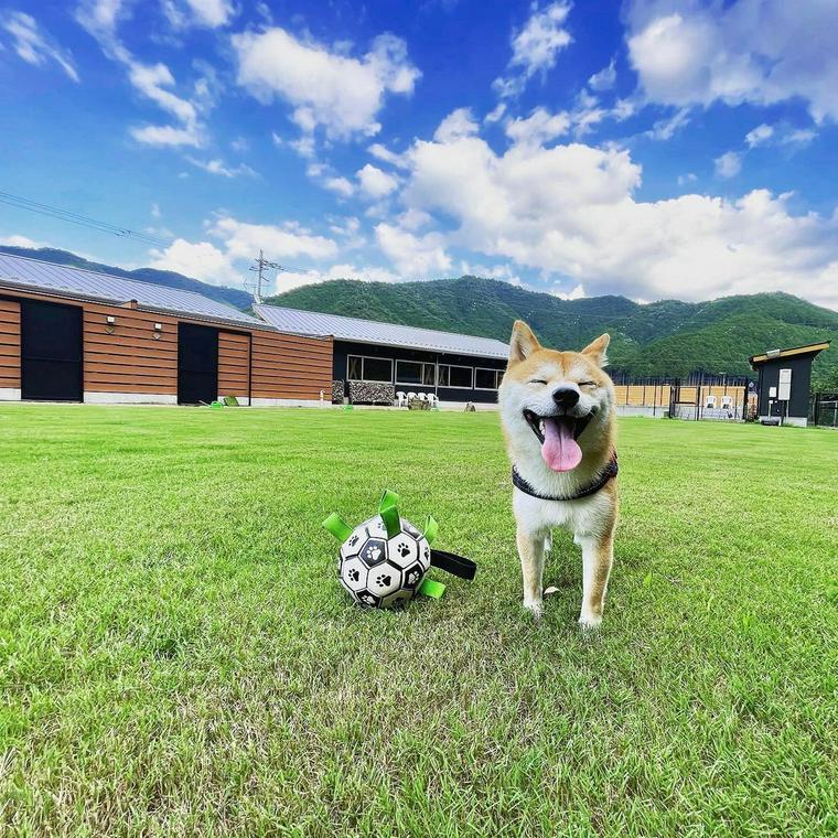 愛犬と泊まれる丹波の宿 華格子