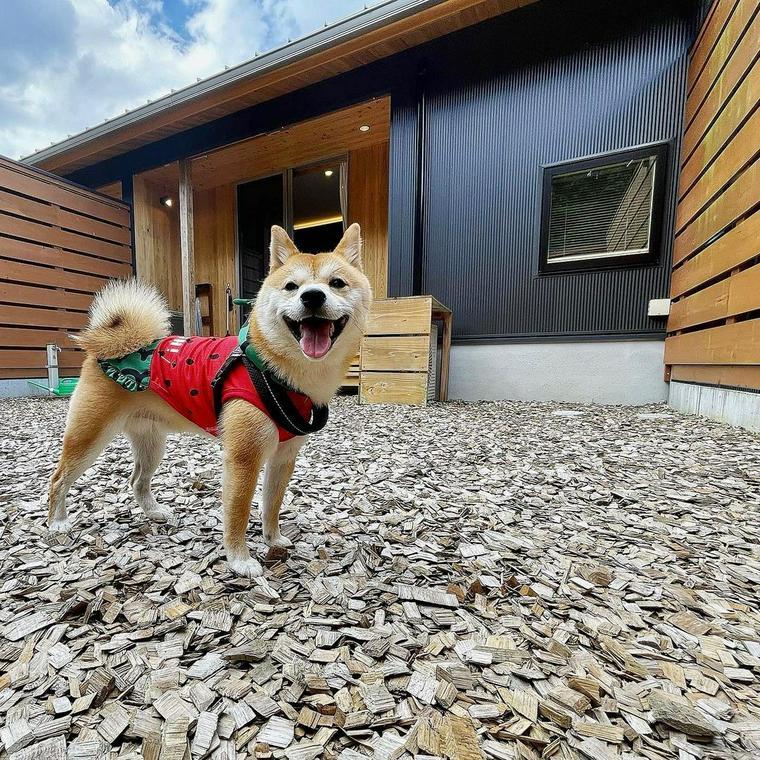 愛犬と泊まれる丹波の宿 華格子