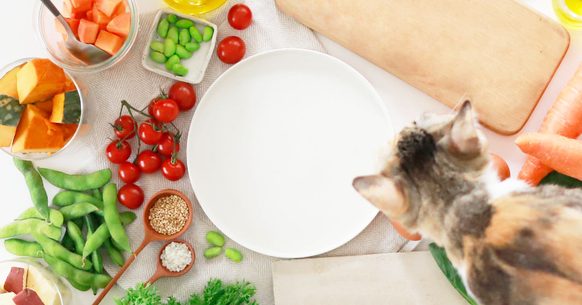 【獣医師監修】猫が食べてもいい野菜・危険な野菜まとめ｜効果や注意点を栄養管理士が解説