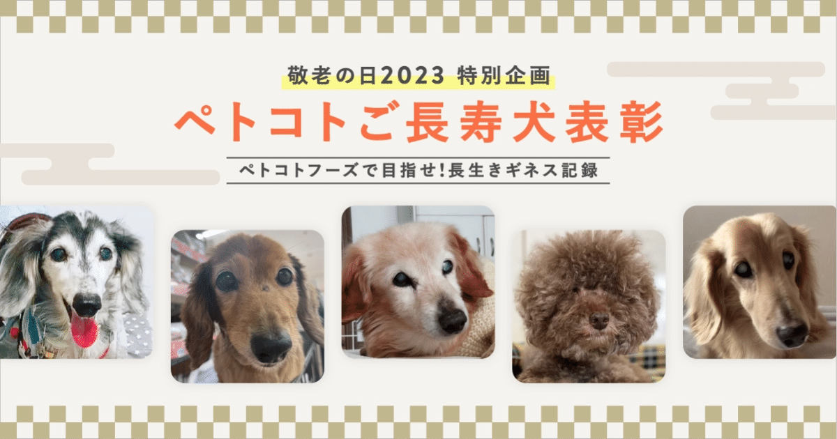 【敬老の日】「ペトコトご長寿犬 2023」を発表します！