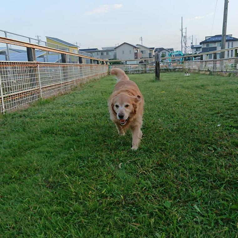 鈴鹿ライディングクラブ