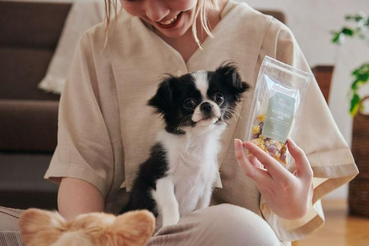 ペトコトフーズの犬のプレゼントにおすすめのおやつ