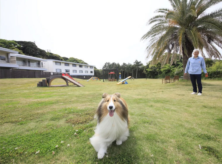 【千葉の犬と泊まれる宿】わん's LAND TATEYAMA