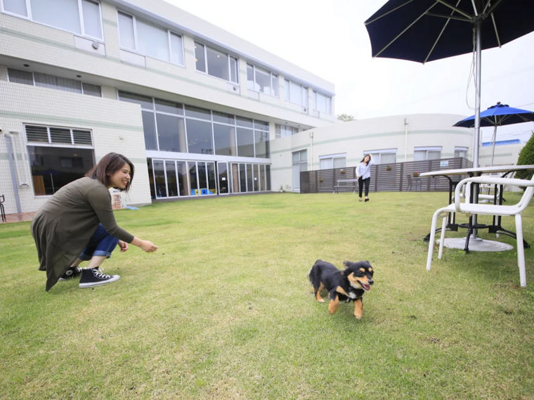 【神奈川の犬と泊まれる宿】わん's LAND 三浦海岸