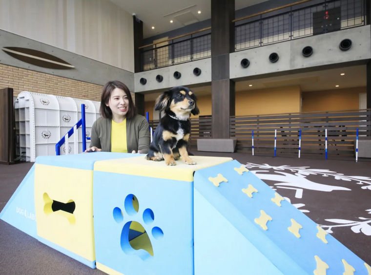 【神奈川の犬と泊まれる宿】わん's LAND 三浦海岸