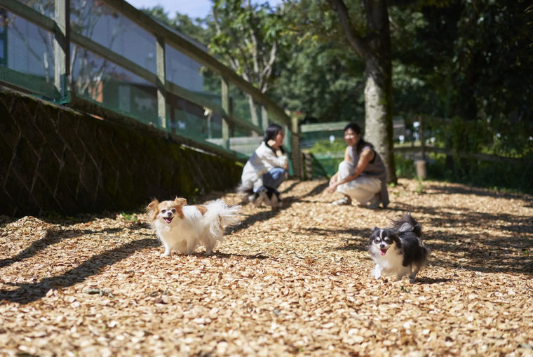 【栃木の犬と泊まれる温泉宿】ペット＆スパホテル那須ワン