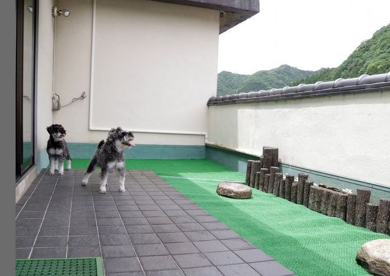 【栃木の犬と泊まれる宿】きぬ川国際ホテル