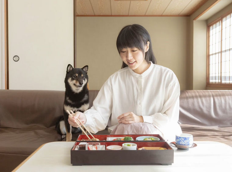 【栃木の犬と泊まれる 宿】ホテルラフォーレ那須