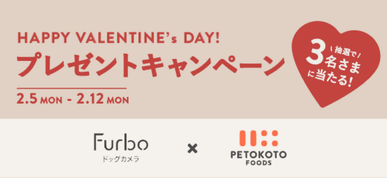 【終了】ペトコトフーズとFurboが当たるバレンタインキャンペーン！抽選で3名様に豪華賞品をプレゼント！