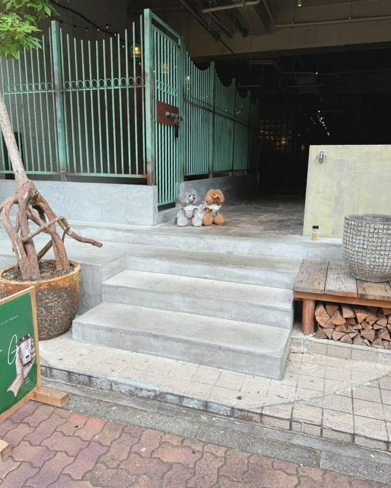 犬連れOKのカフェのShibuyaにいる犬