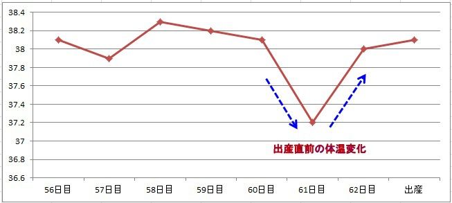 犬の出産 基本知識から準備や流れ 死亡リスクなどの注意点を解説 獣医師監修 ペトコト