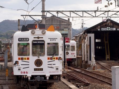 猫が電車に乗る時の運賃はいくら? 乗せる前の準備や車内で鳴く時の対処法を紹介