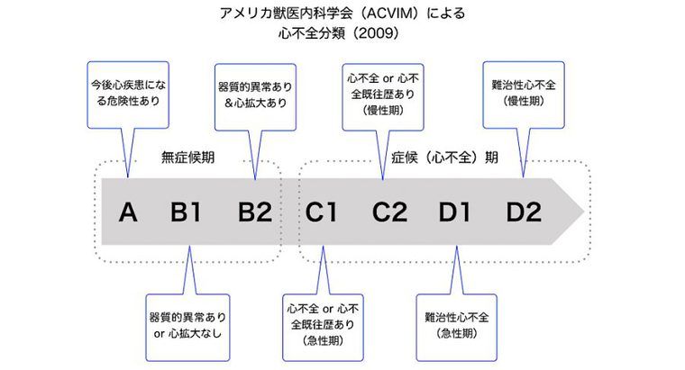 アメリカ獣医内科学会（ACVIM）による心不全分類（2009）