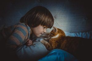猫と子ども