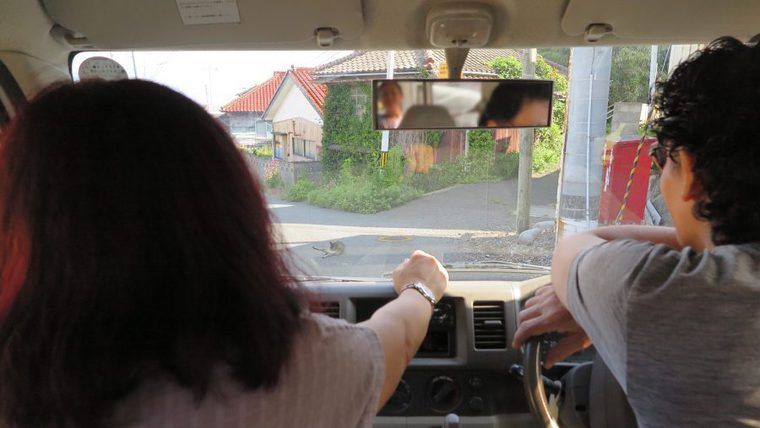 田代島では人が車から降りて猫様に移動をお願いします