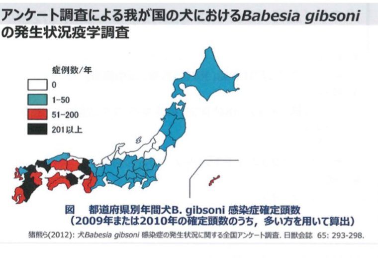 バベシアの種類