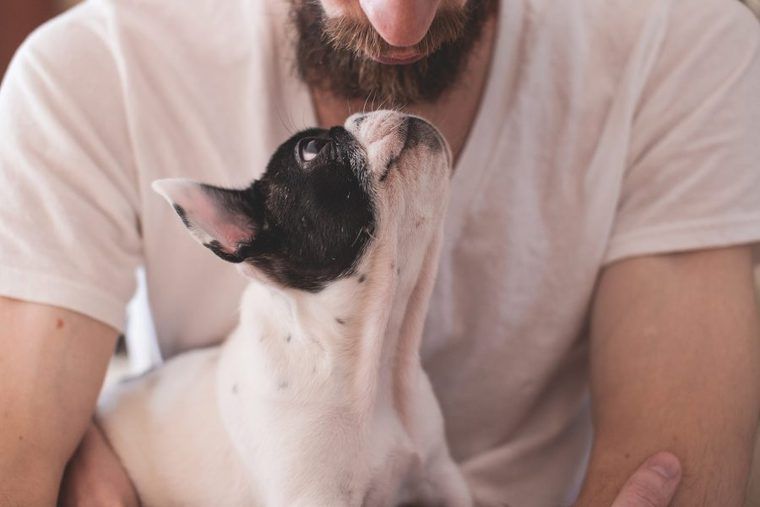 11月1日は犬の日! 由来や愛犬とのおすすめの過ごし方を紹介