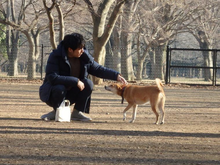 代々木公園ドッグランで社員犬へご褒美デイ! 犬を楽しませるのも仕事のうち【今日のシロップ】
