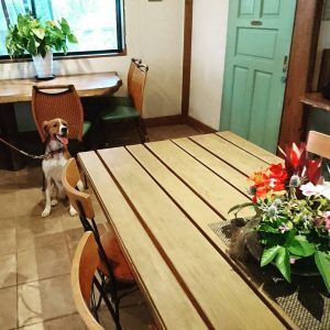 20180322_hyougocafe_hh_2