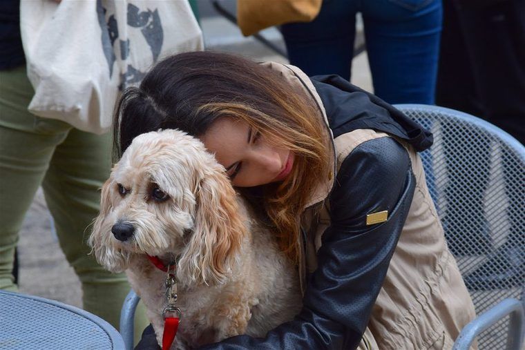 育犬ノイローゼになってしまう理由|しつけや介護、困ったことは相談する!