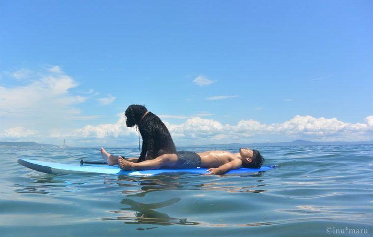 SUPの上で寝転ぶ男性と犬