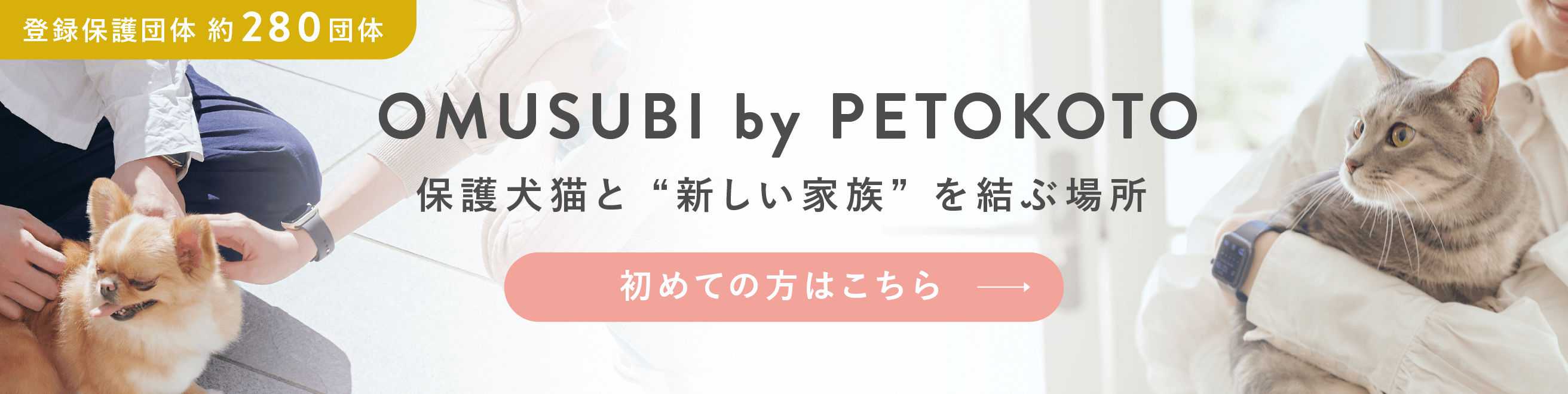 DECOLE デコレ コンコンブル | まったり富士登山 富士登山猫