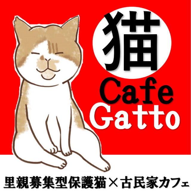 里親募集型保護猫×古民家カフェCafe Gatto