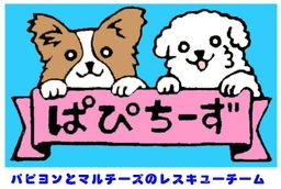 Group Logo