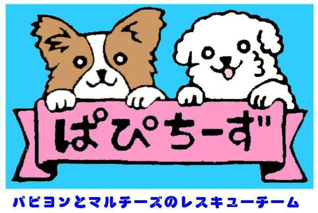 チーム・ぱぴちーず