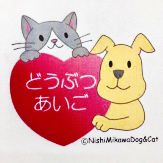 西三河Dog&Cat