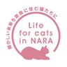 特定非営利活動法人Life for cats in NARA