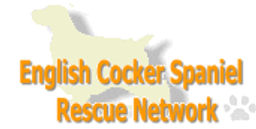 Group Logo