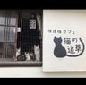 保護猫カフェ【猫の道草】