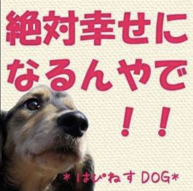 NPO法人はぴねすDOG