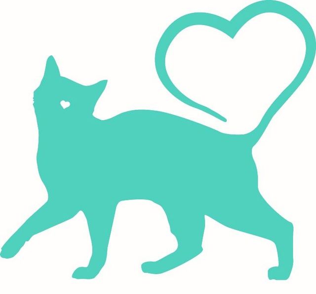 保護猫アンドゥ