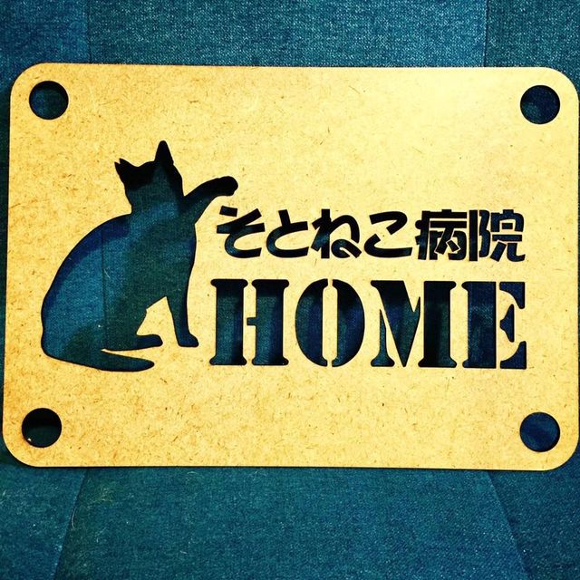 そとねこ病院HOME