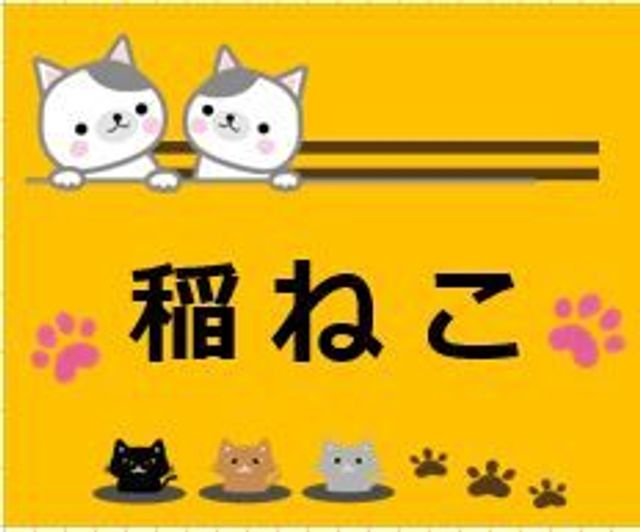 稲ねこ