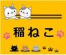 稲ねこ