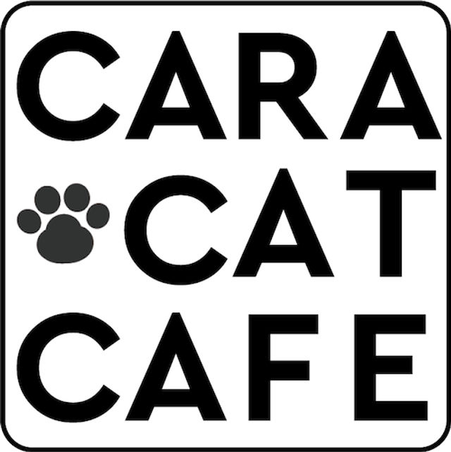 CARA CAT CAFE