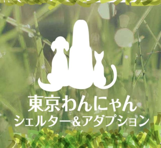 東京わんにゃんシェルター&アダプション