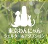 東京わんにゃんシェルター&アダプション