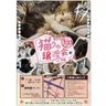 野良猫0zero0プロジェクト