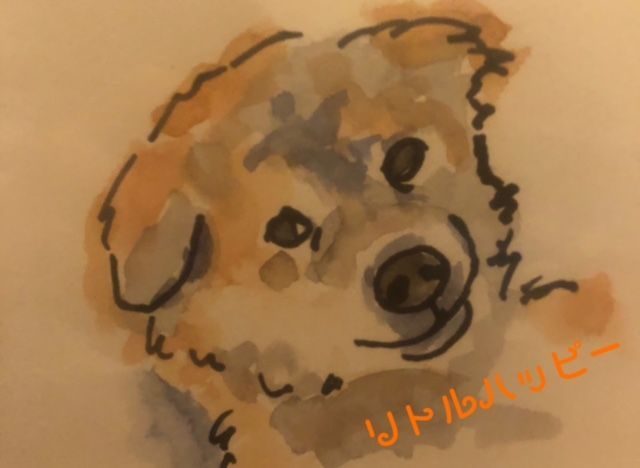 リトルハッピー