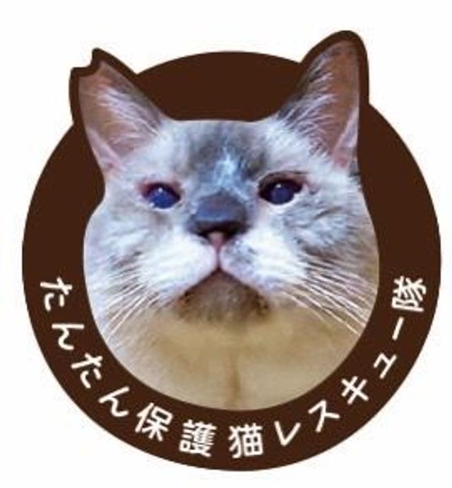 たんたん保護猫レスキュー隊