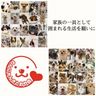 わんにゃんさとおや会（特定非営利活動法人保護譲渡推進協会）