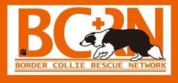 Group Logo