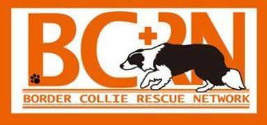 Group Logo