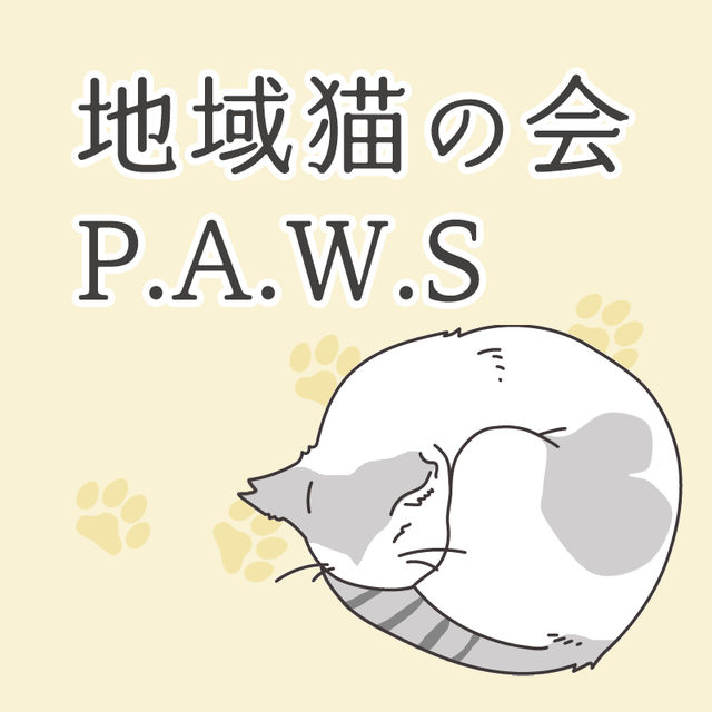 地域猫の会PAWS