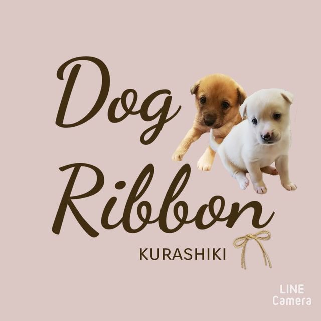 Dogribbon倉敷
