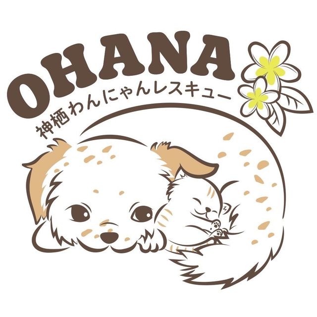 神栖わんにゃんレスキューOHANA